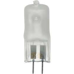 PROFOTO Mod. Lamp 230V/300W GX/GY 6,35 Frosted